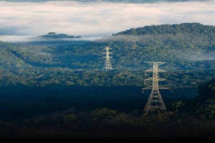 Forest Fire Prevention and Ecological Monitoring