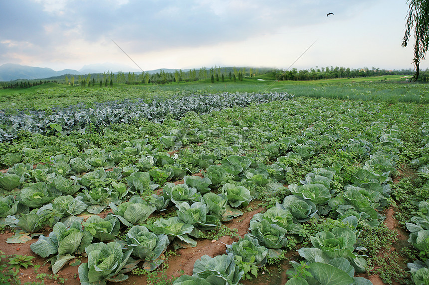 6c40b88f8a291c52bbc0457c30b49de3