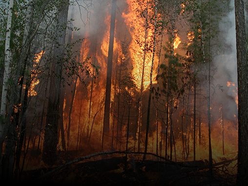 Emergències i extinció d'incendis