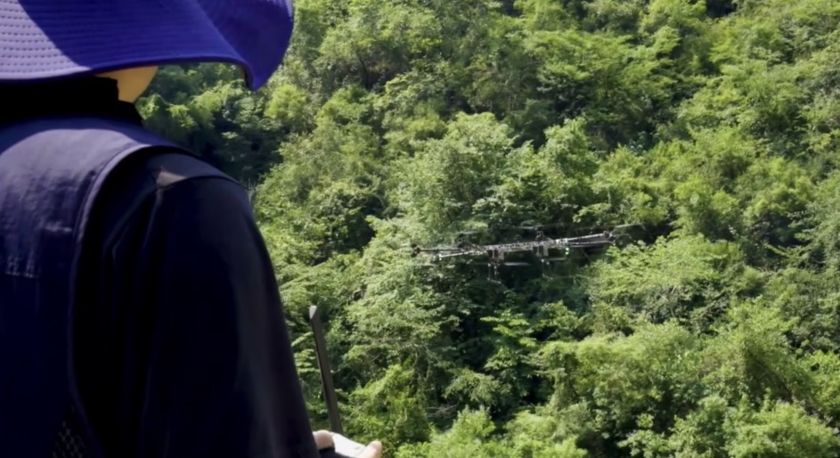 Adaptabilite Anviwònman Ekstrèm